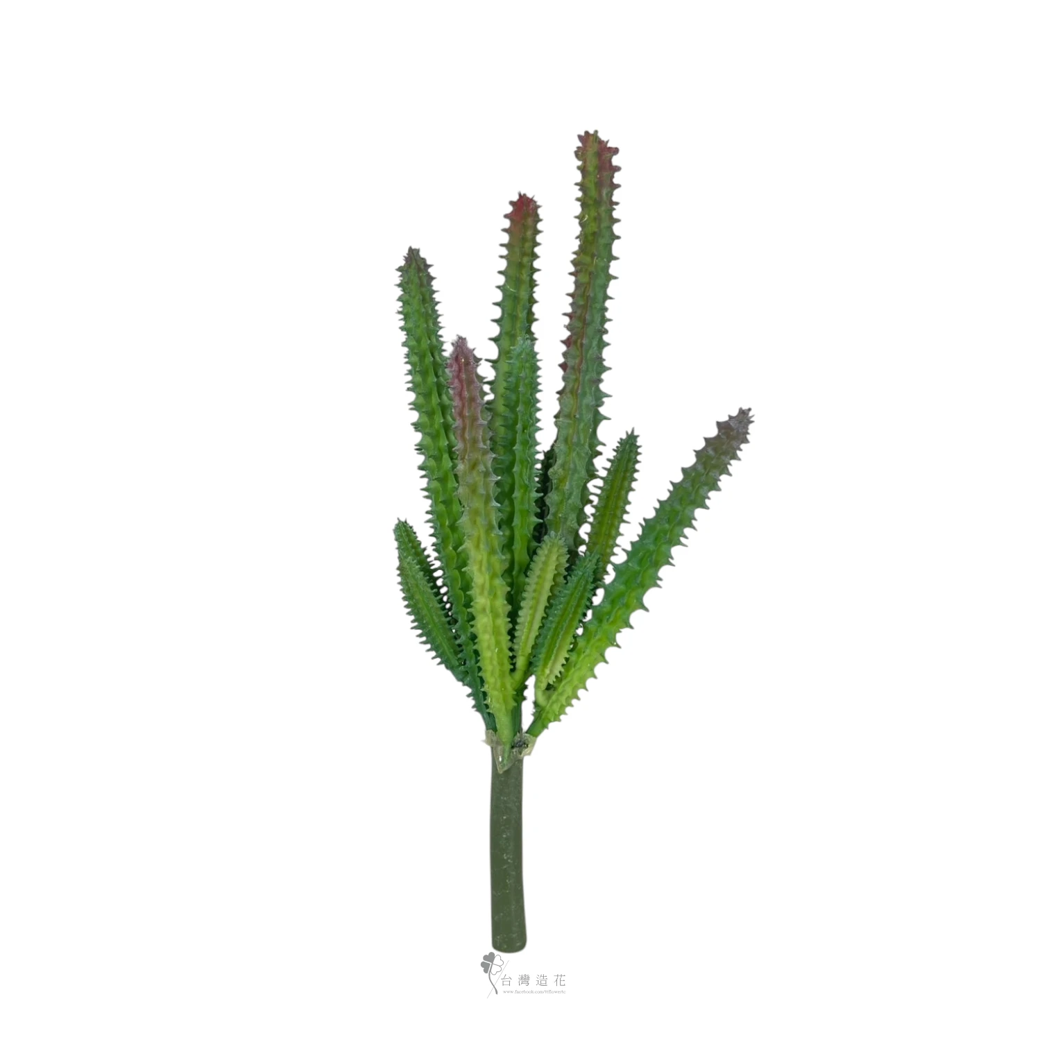 多肉植物-11(綠)
