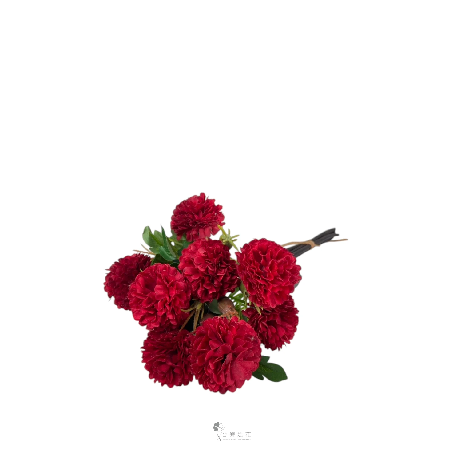 乒乓菊(紅)