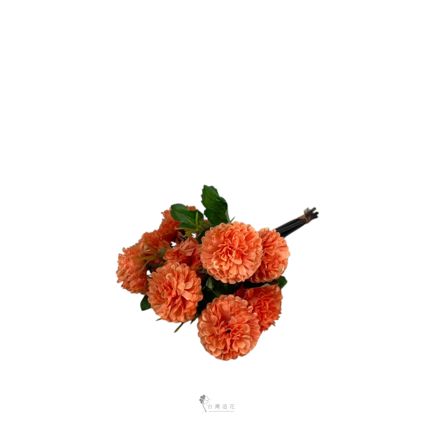 乒乓菊(橘)