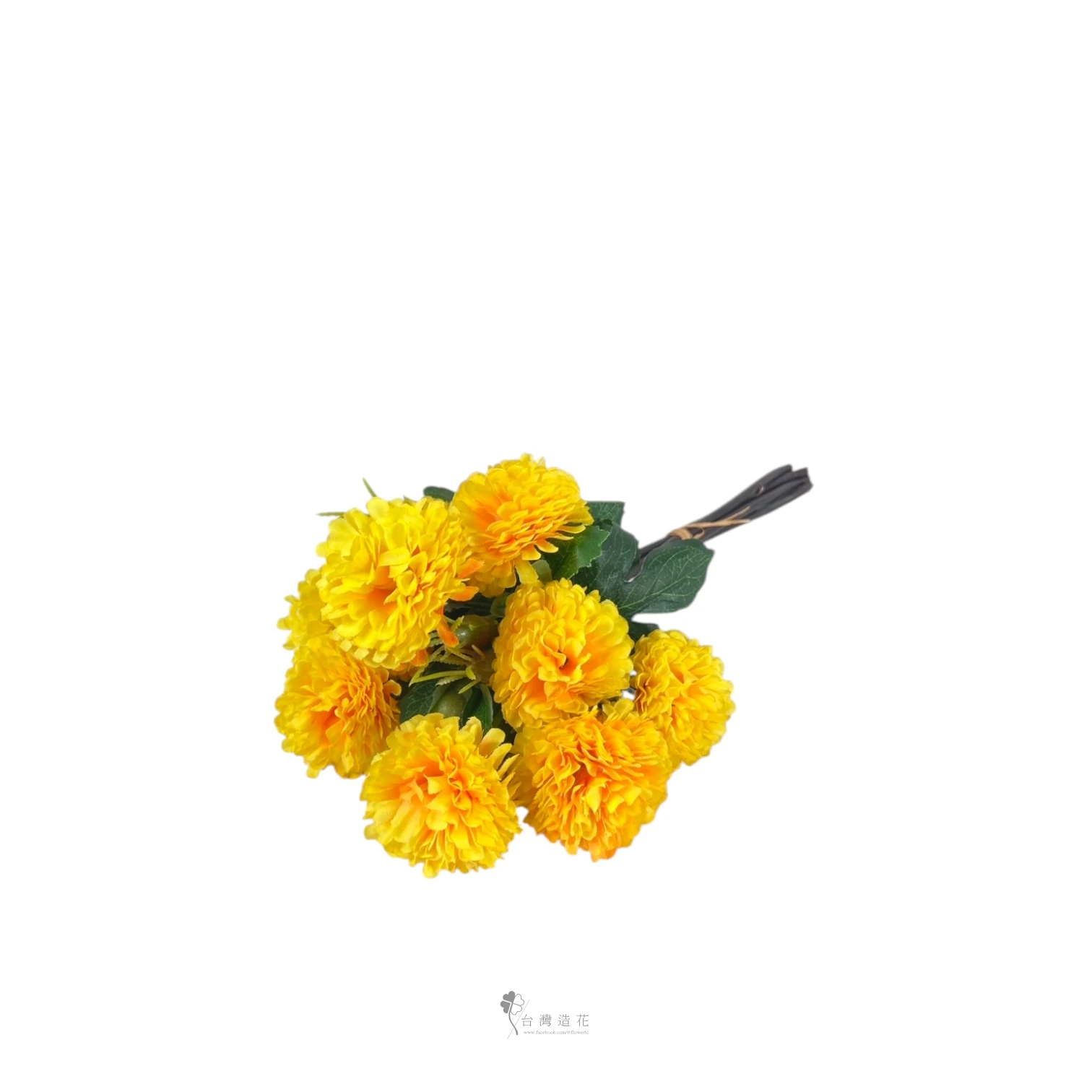 乒乓菊(黃)