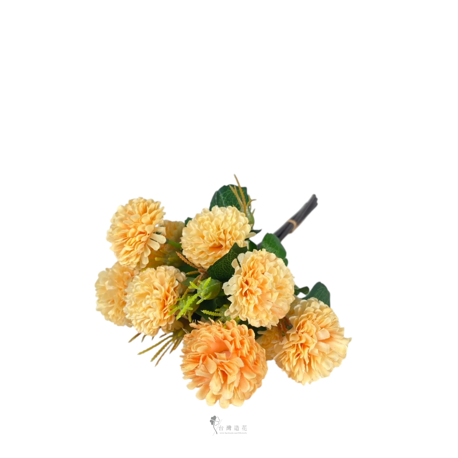乒乓菊(淺黃)