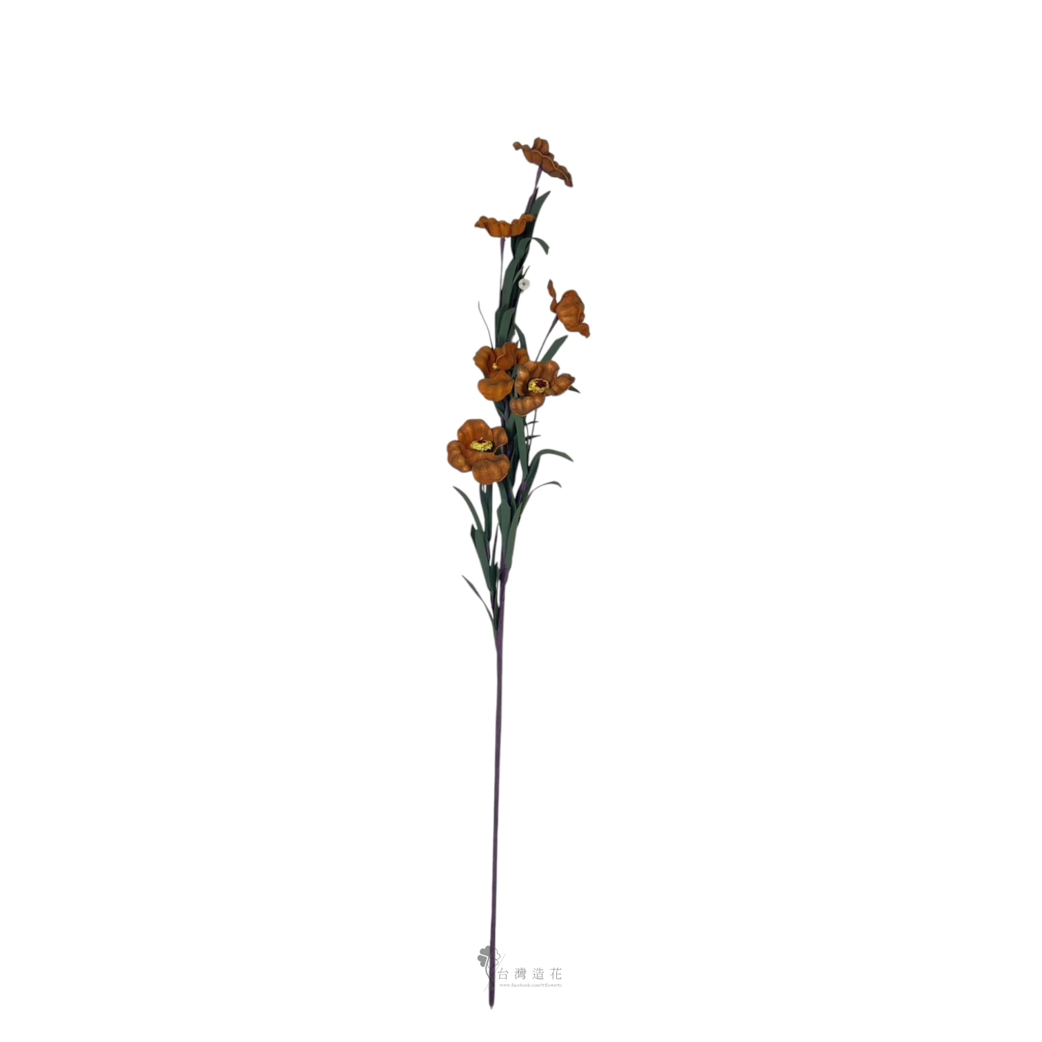 泡棉嬰粟花(咖啡)