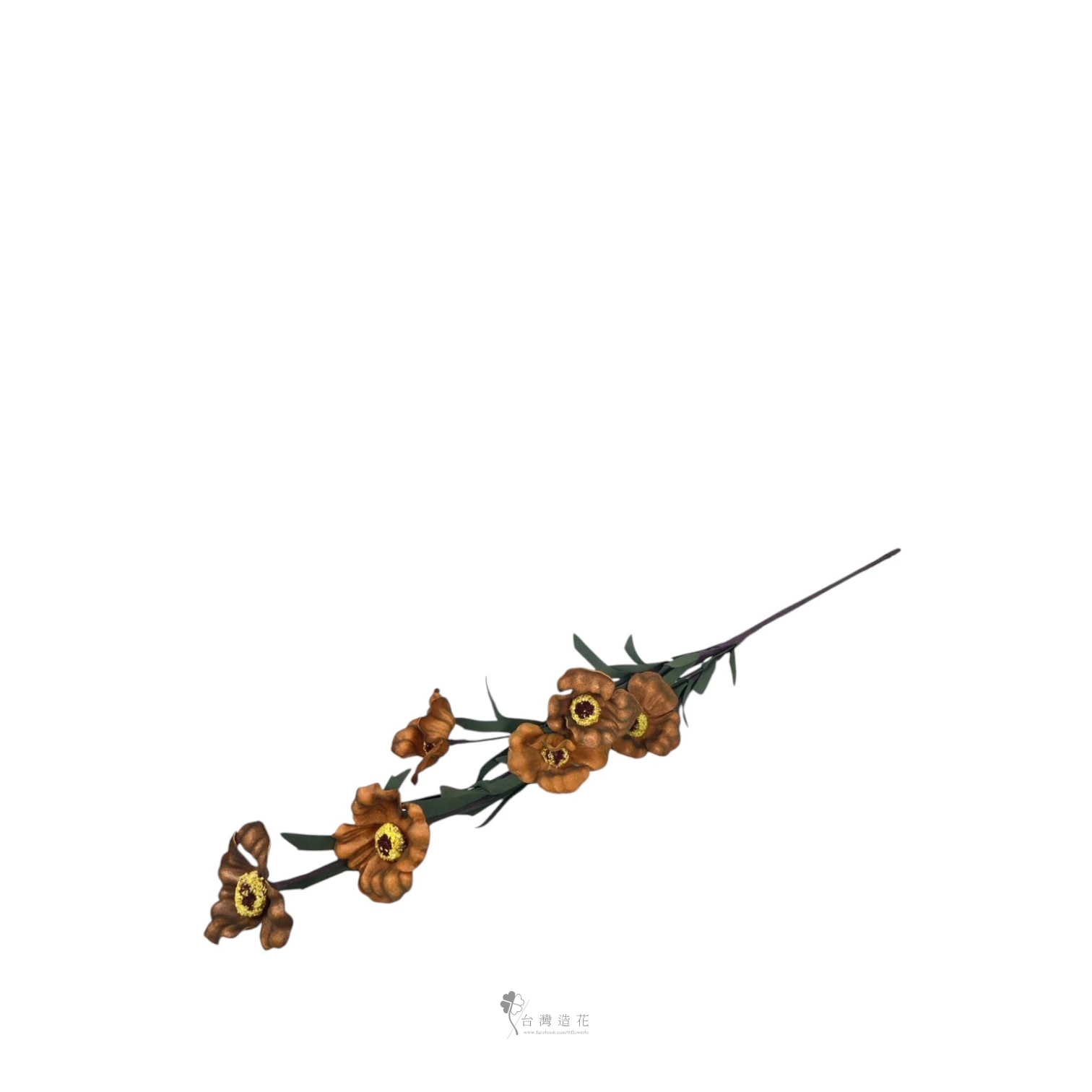 泡棉嬰粟花(咖啡)