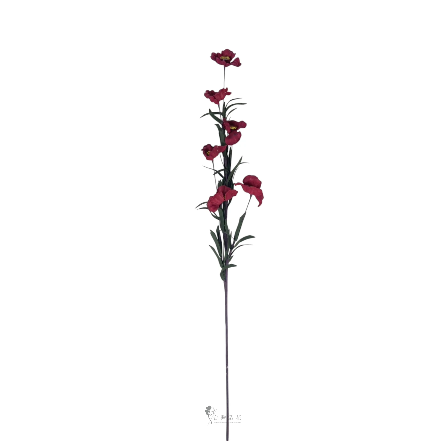 泡棉嬰粟花(紅)