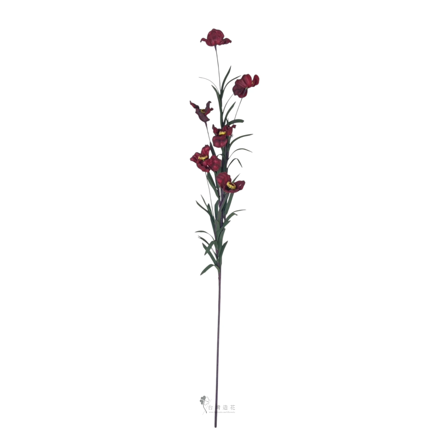 泡棉嬰粟花(深紅)