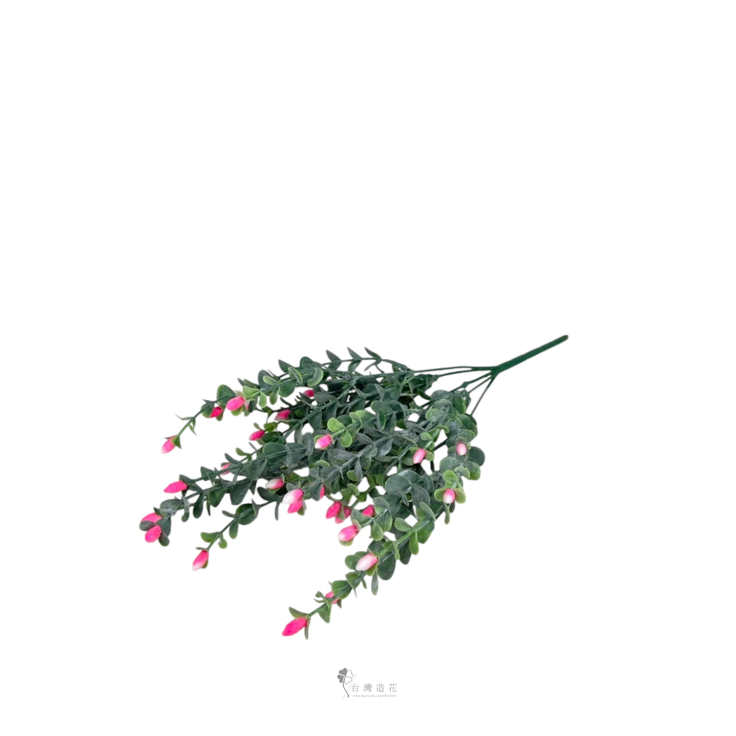 尤加長果(粉)