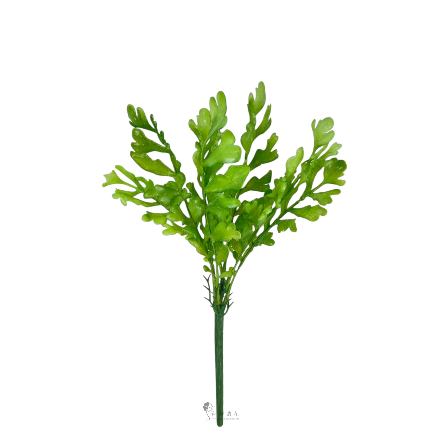 茼蒿葉(中綠)