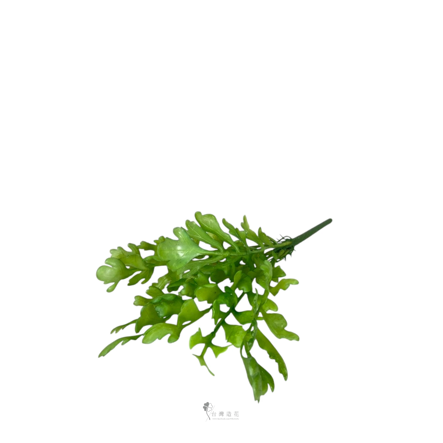 茼蒿葉(中綠)
