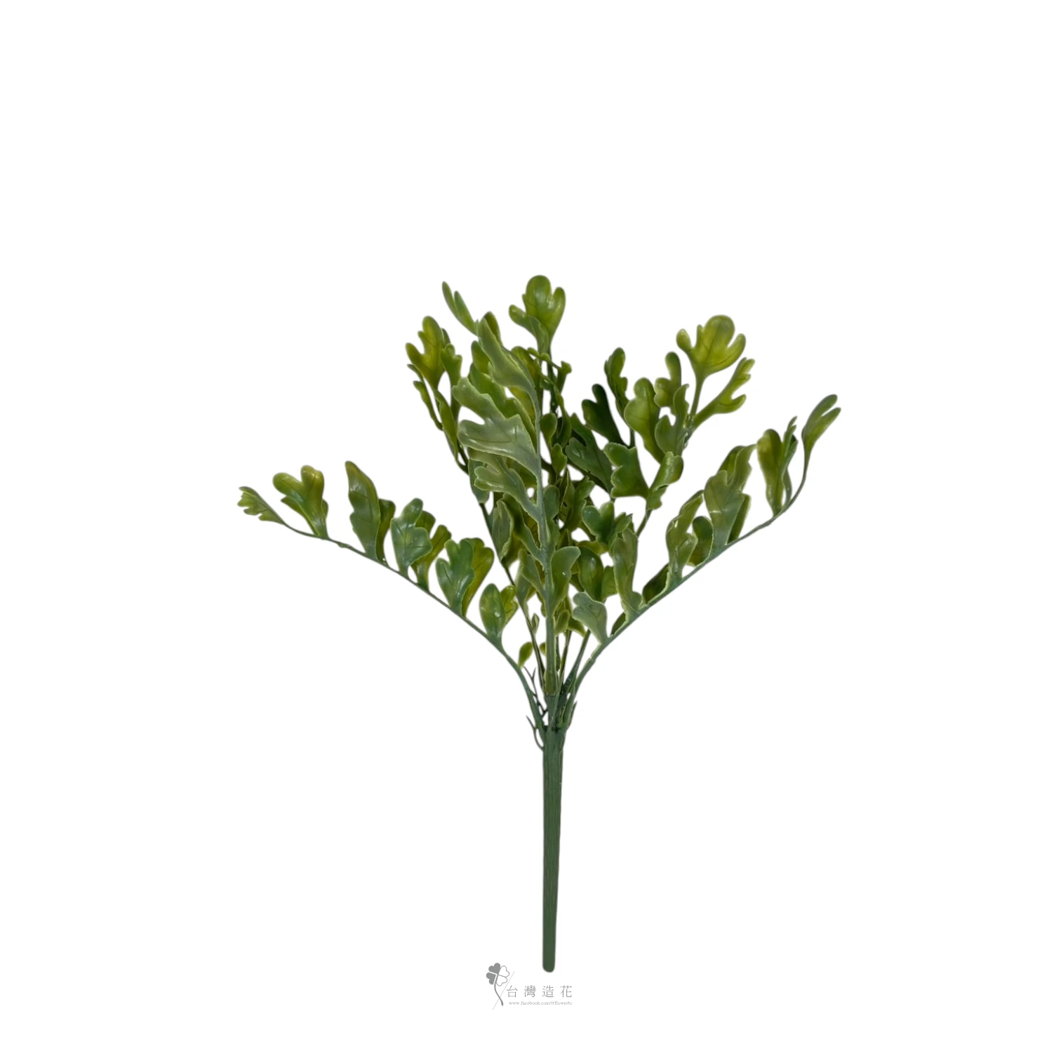茼蒿葉(深綠)
