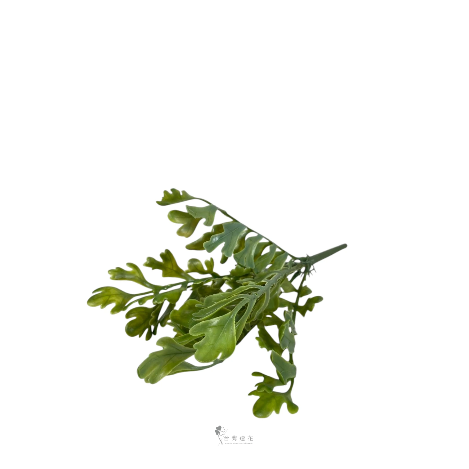 茼蒿葉(深綠)