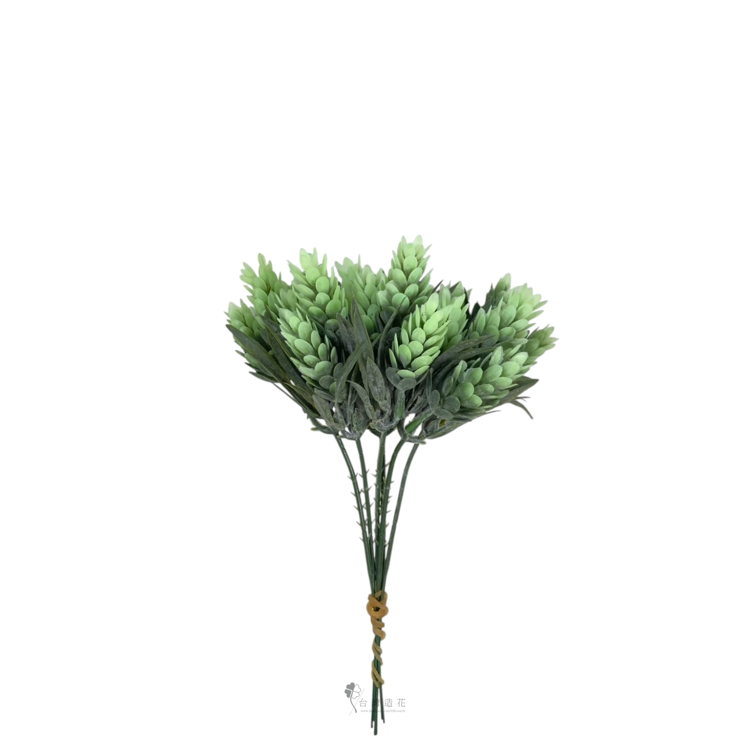 啤酒花PK+葉(綠)