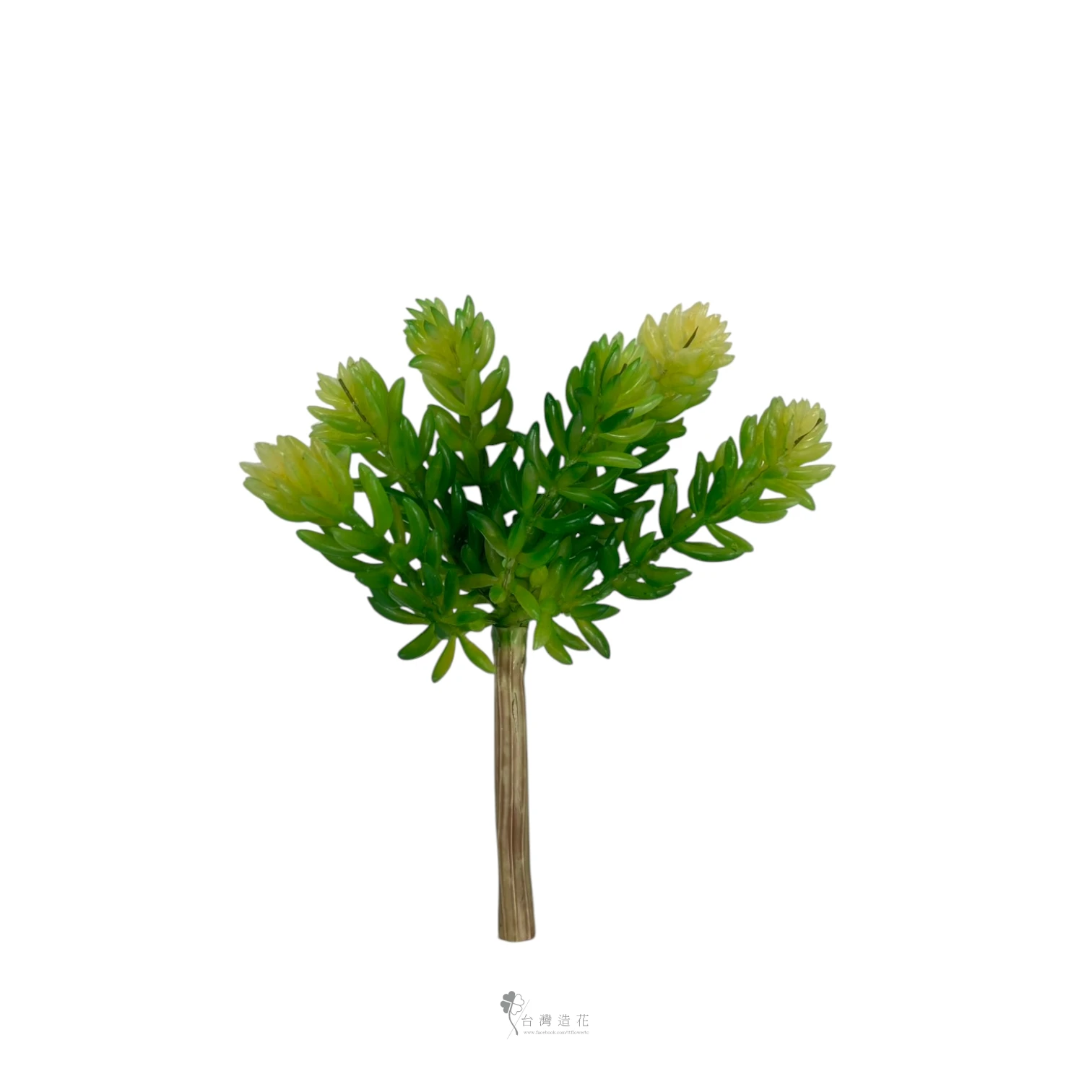 六頭果粒(綠)