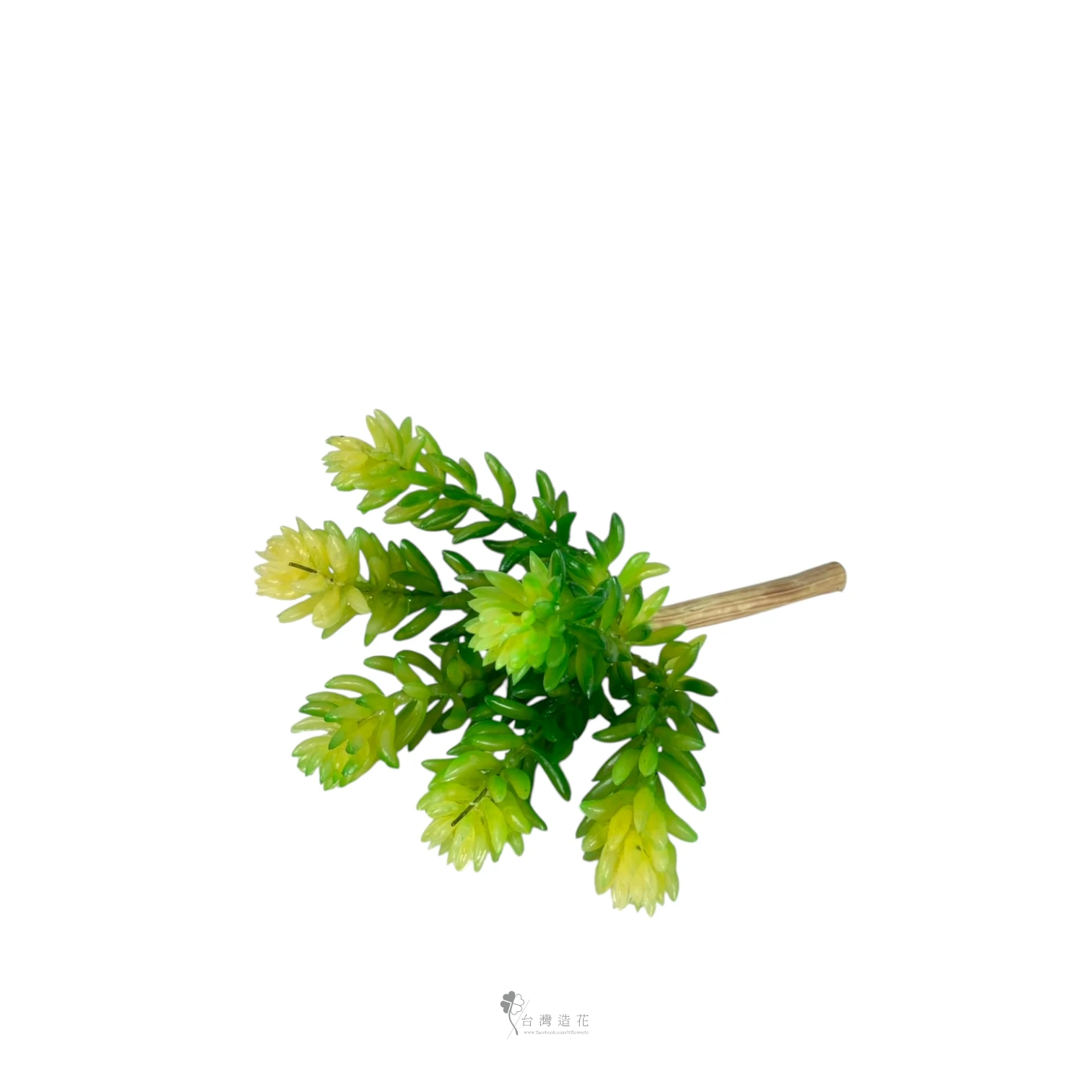 六頭果粒(綠)