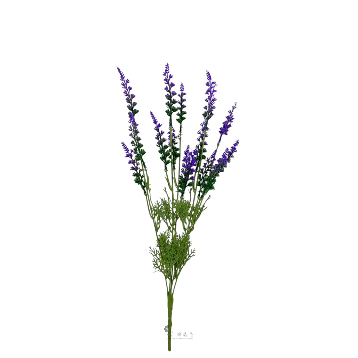 A5叉薰衣草(紫)