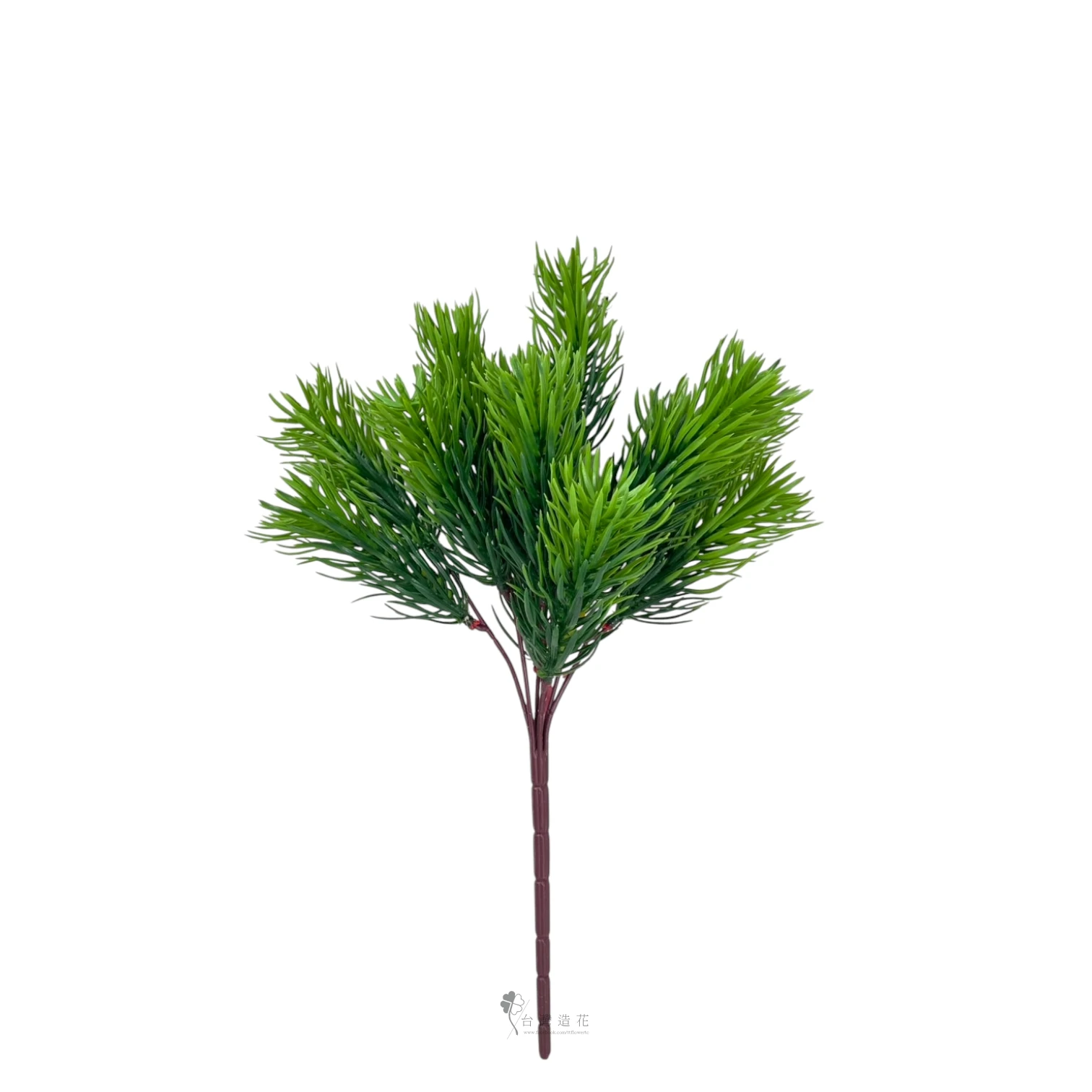 佛甲草(深綠)