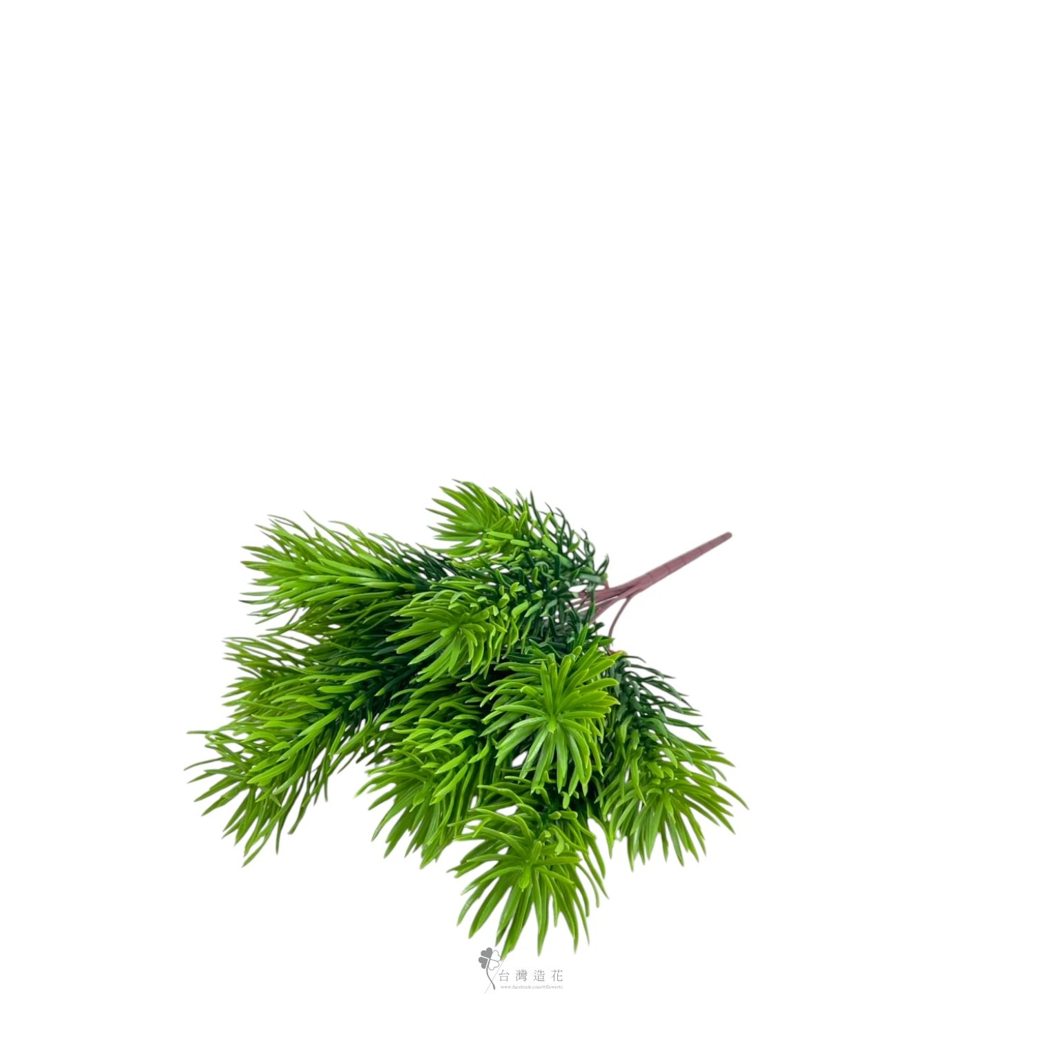 佛甲草(深綠)