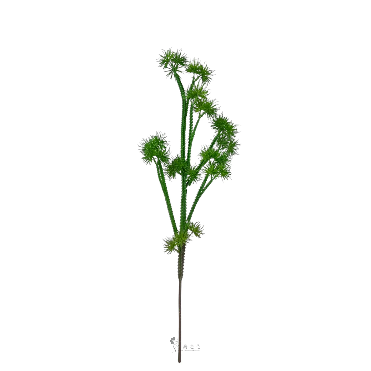 沙漠植物(綠)