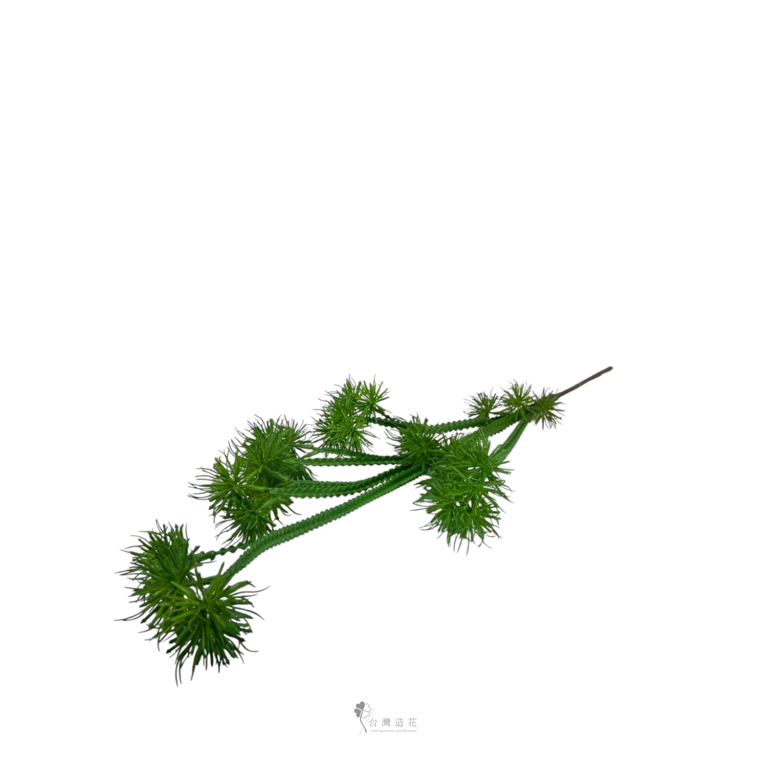 沙漠植物(綠)