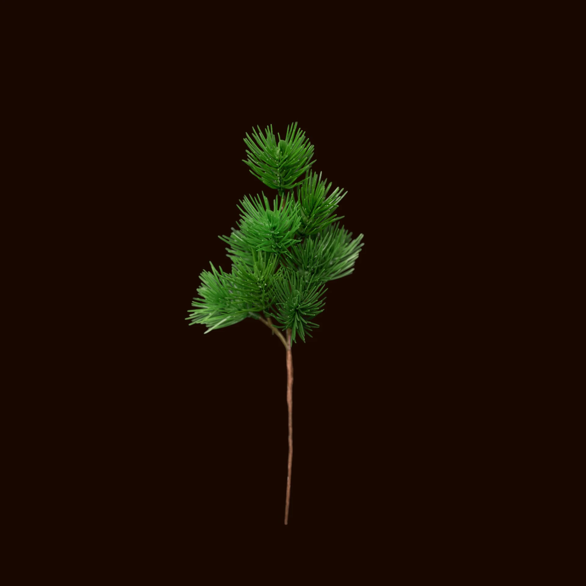 6"松枝(綠)