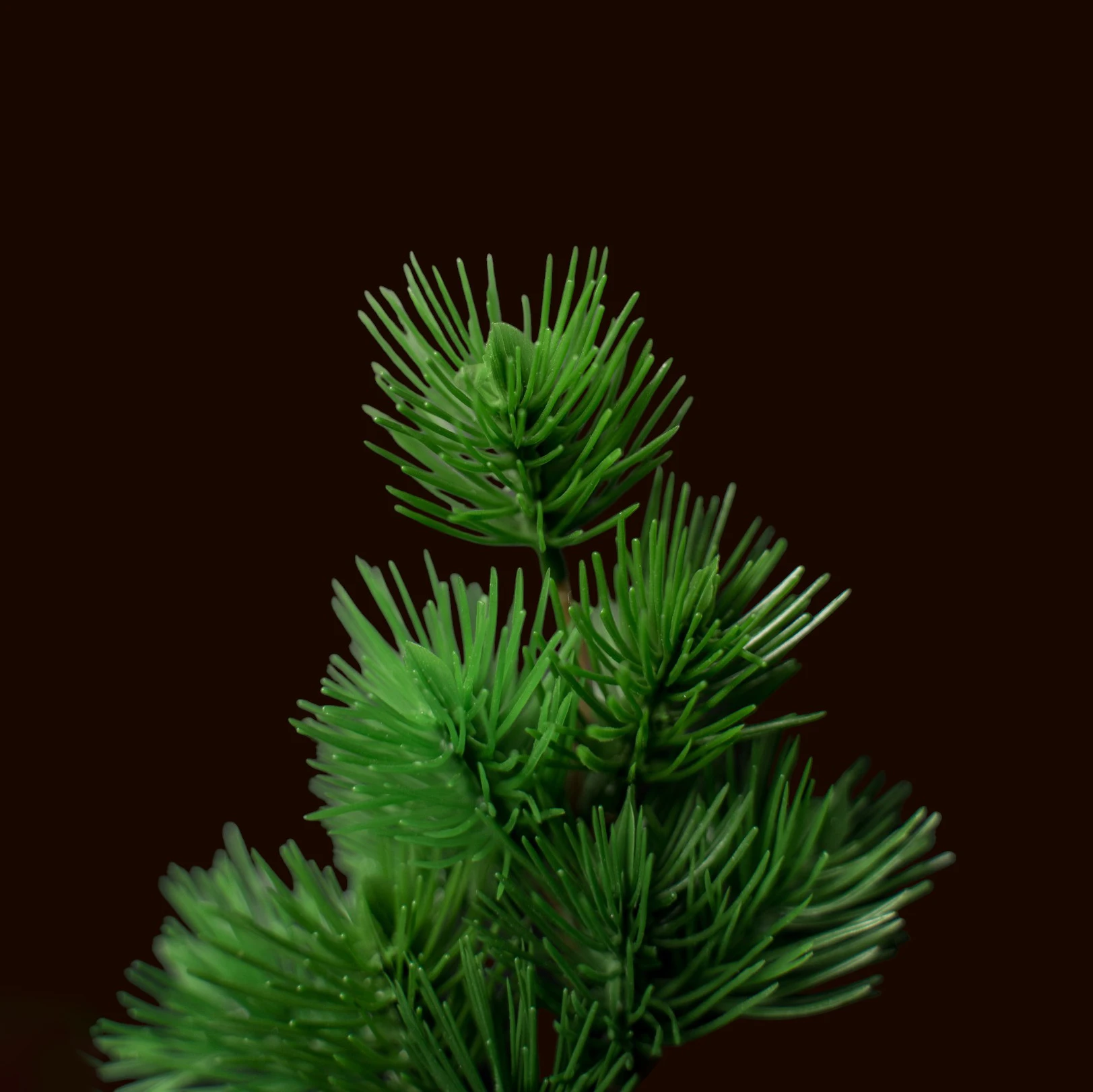 6"松枝(綠)