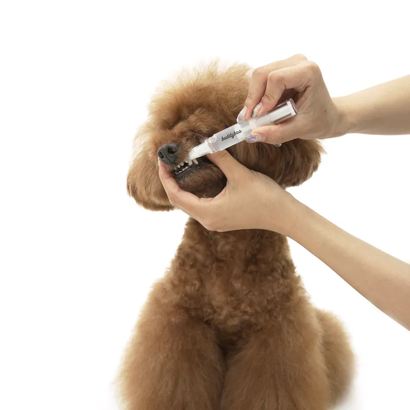 【Buddy Boo】韓國超火的寵物牙刷筆｜毛孩終於不會那麼排斥刷牙了！