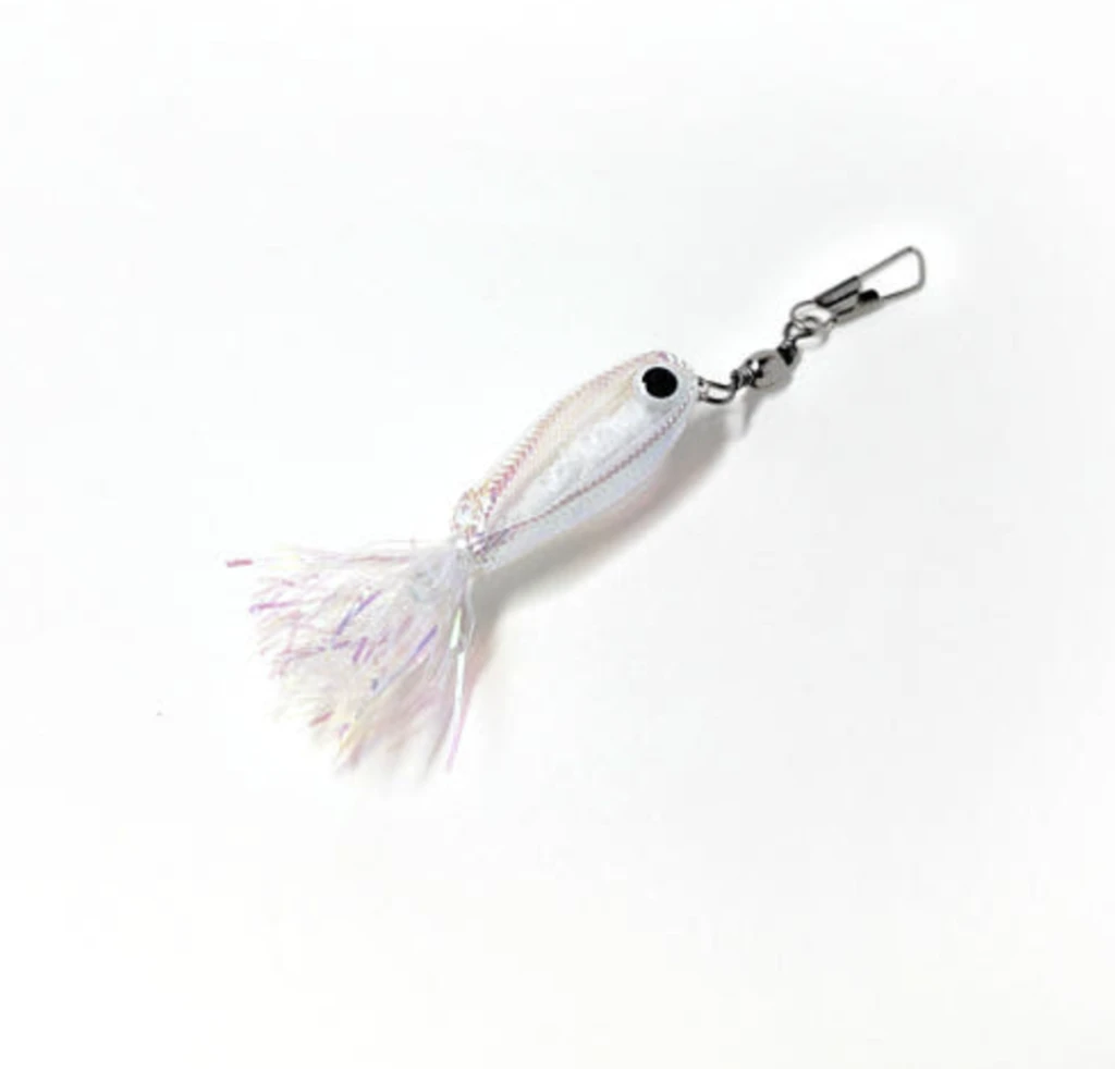 【Chururu】熱帶魚 | 韓國手工逗貓頭 | 喵吉拉店長激推｜好玩到瘋掉