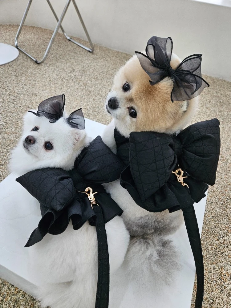 【Miss & Pet】蝴蝶結芭雷舞裙胸背帶｜Made in Korea