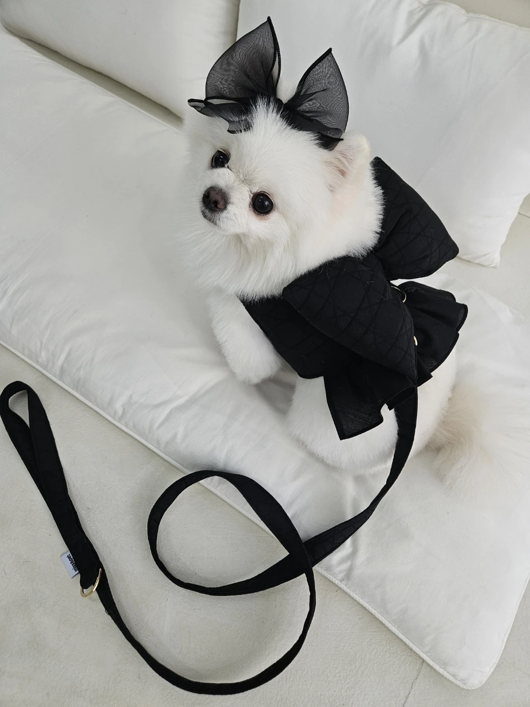 【Miss & Pet】蝴蝶結芭雷舞裙牽繩｜Made in Korea