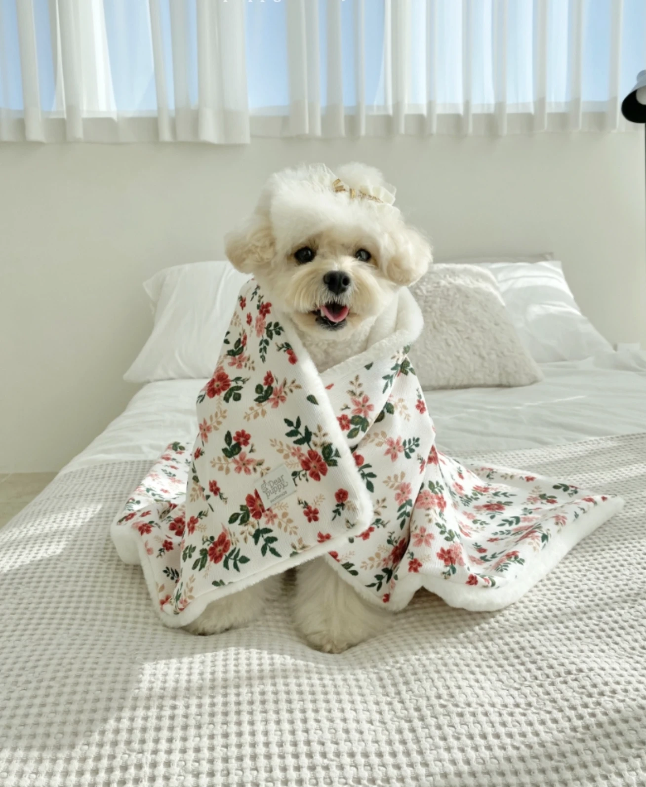 【Dear Puppy】漫步花園冬日寵物毯｜Made in Korea