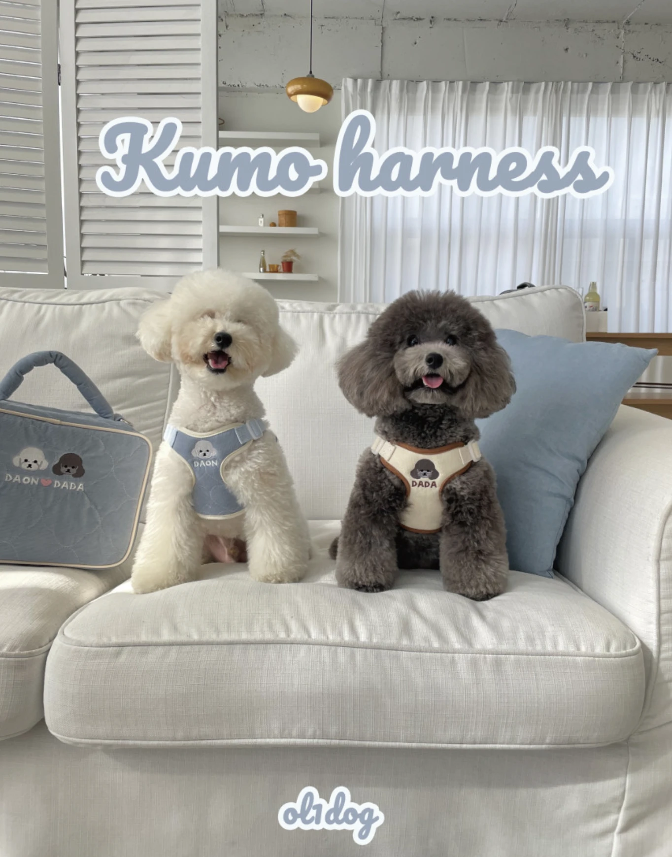 【Olidog】韓國KUMO手工客製胸背帶/牽繩｜Made in Korea