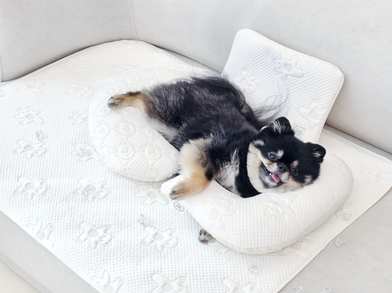 【Dear Puppy】韓國手工超涼感機能寵物冰墊 | 夏季降溫必備！｜Made in Korea