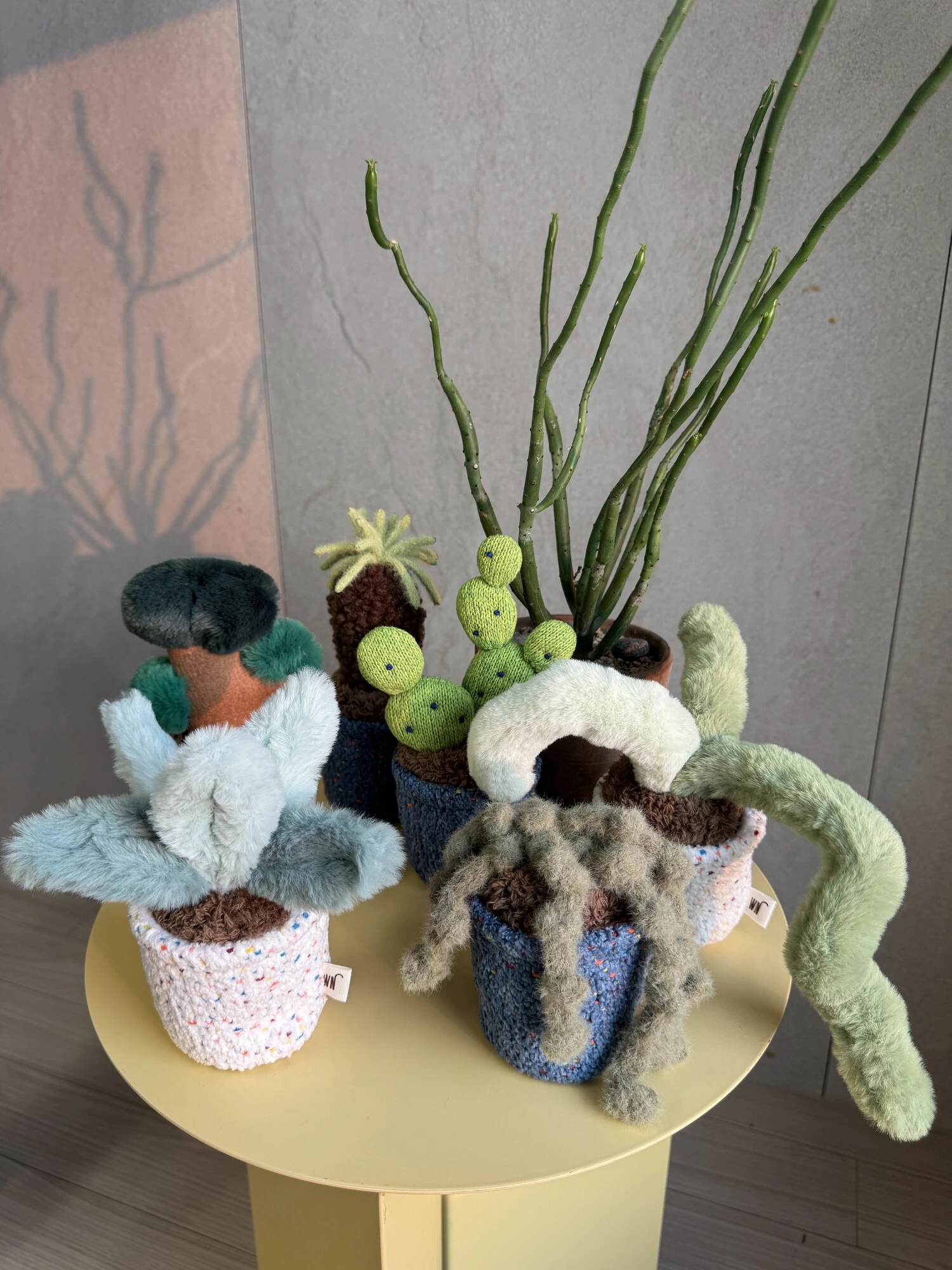 【Wetnose】療癒植感盆栽系列｜寵物玩具｜Made in Korea