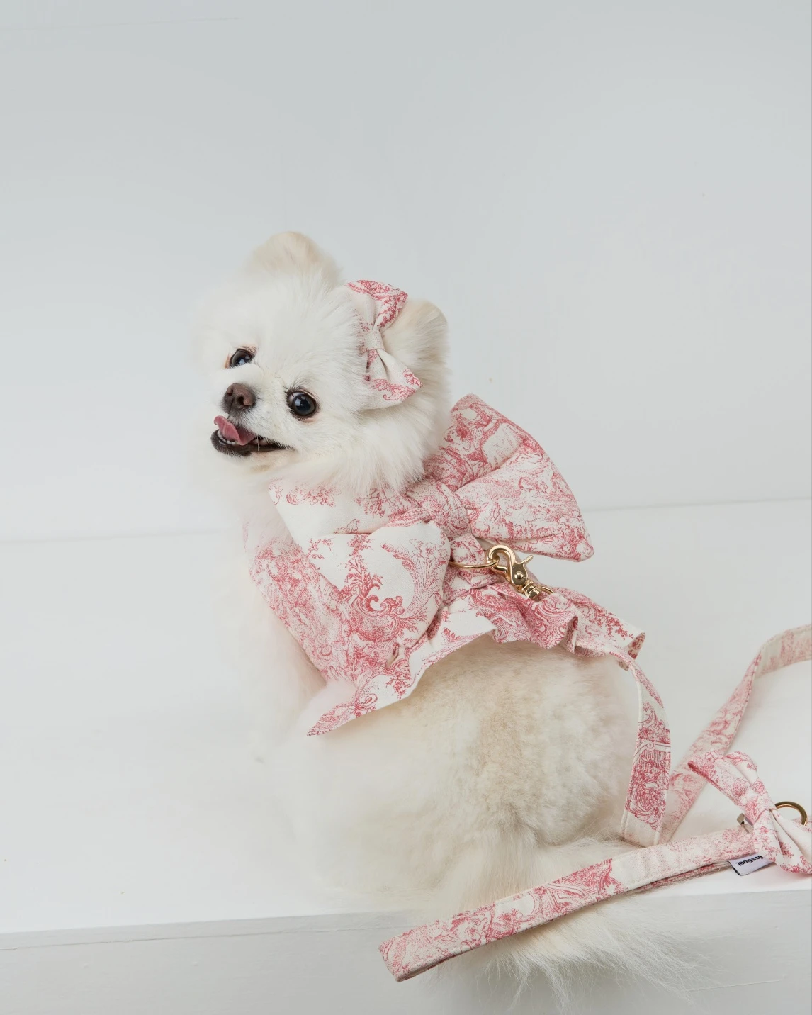 【Miss & Pet】法國國王絲帶胸背帶｜Made in Korea