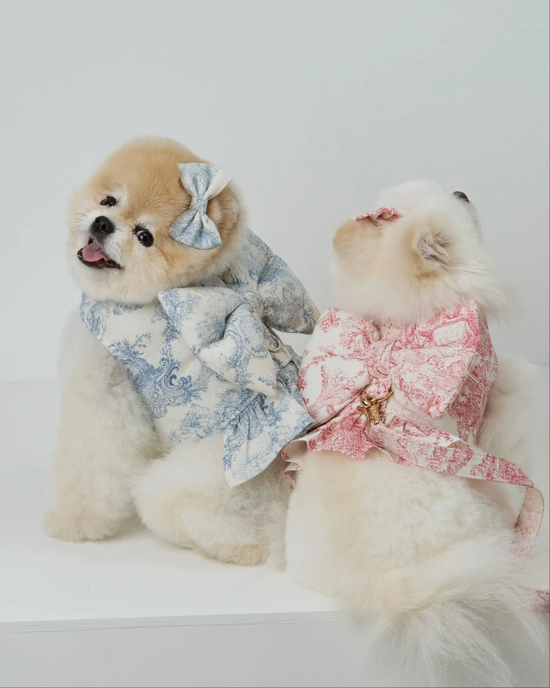 【Miss & Pet】法國國王絲帶胸背帶｜Made in Korea