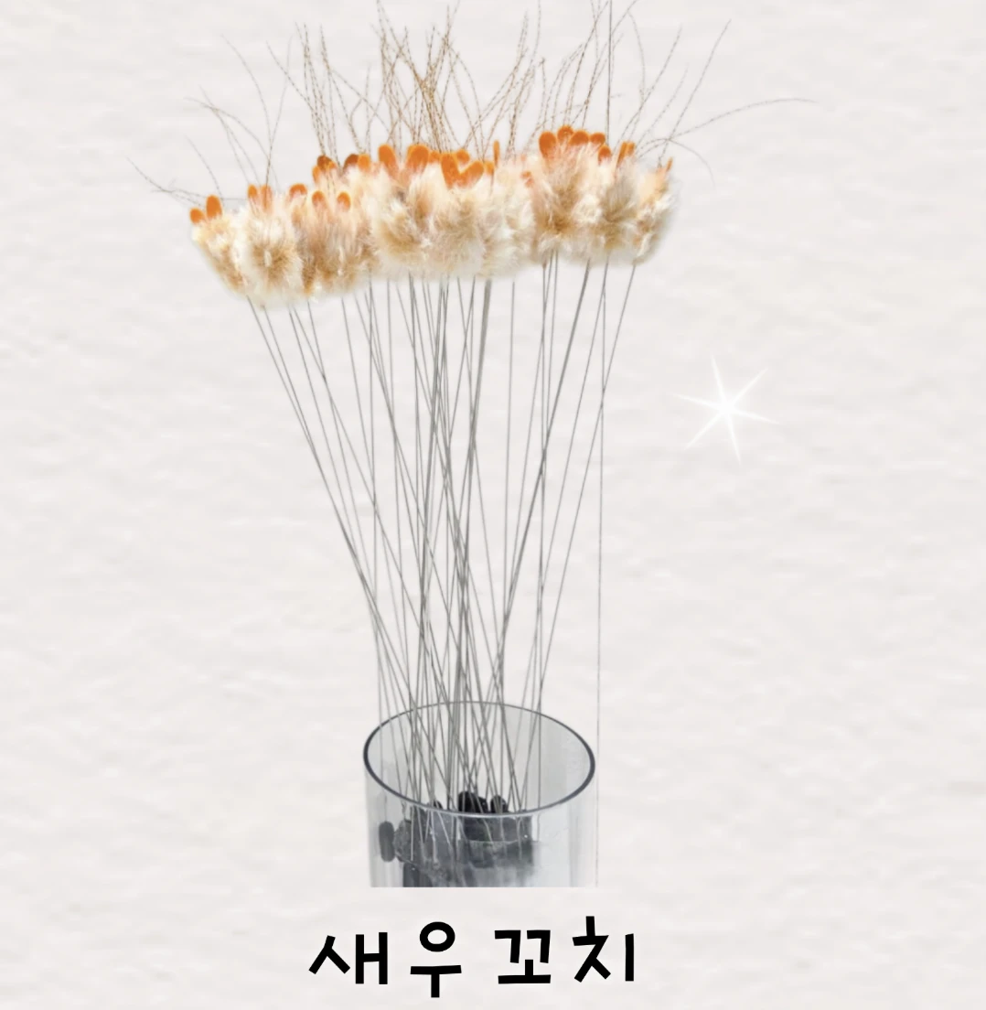 【My minou】雲朵蝦蝦羽毛棒｜現貨｜Made in Korea
