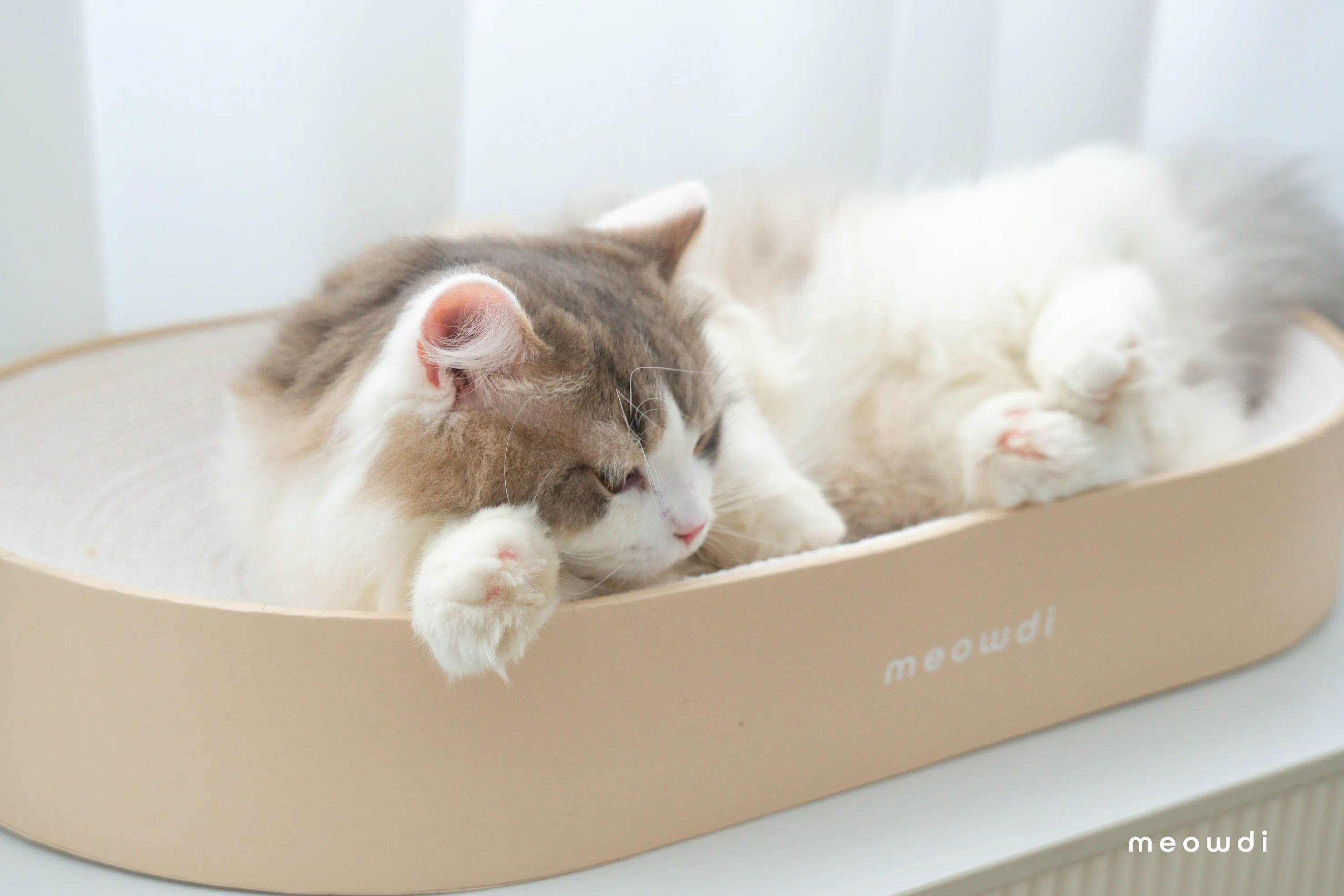 【Meowdi喵的】喵的懶洋洋貓抓板白紙芯