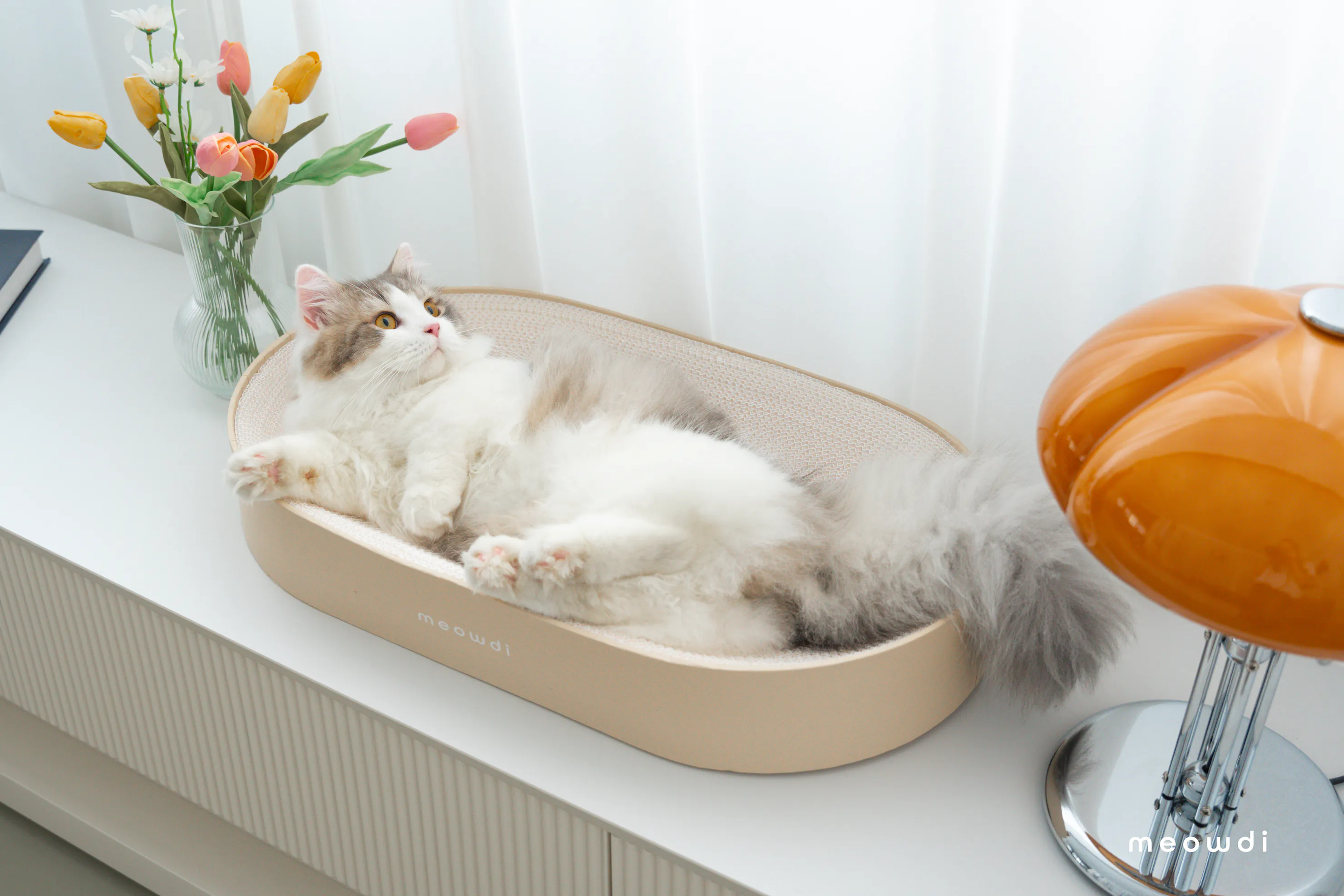 【Meowdi喵的】喵的懶洋洋貓抓板白紙芯
