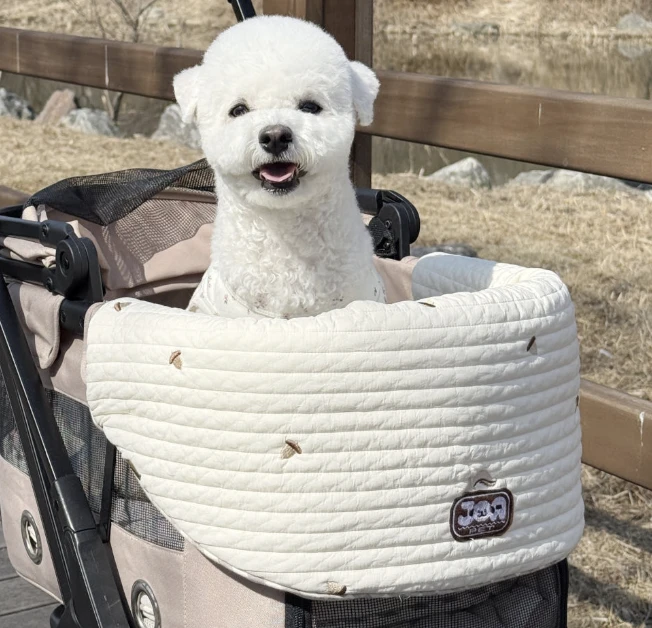 【Joa Pet】松鼠像果車圍墊｜Made in Korea