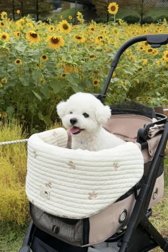 【Joa Pet】涼感車圍墊｜Made in Korea