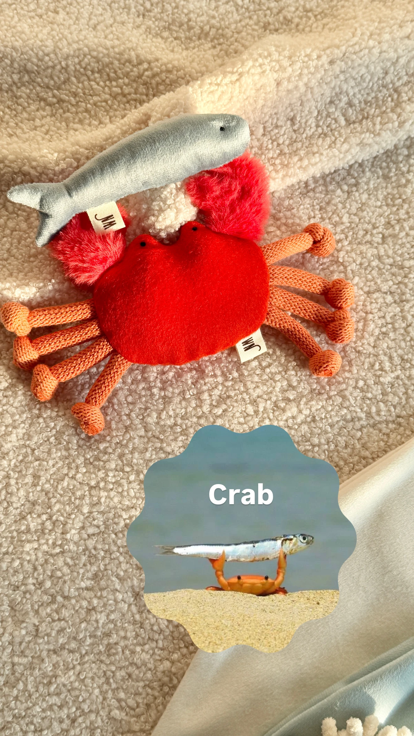 【Wetnose】Crab·小萌蟹｜海洋系列｜Made in Korea