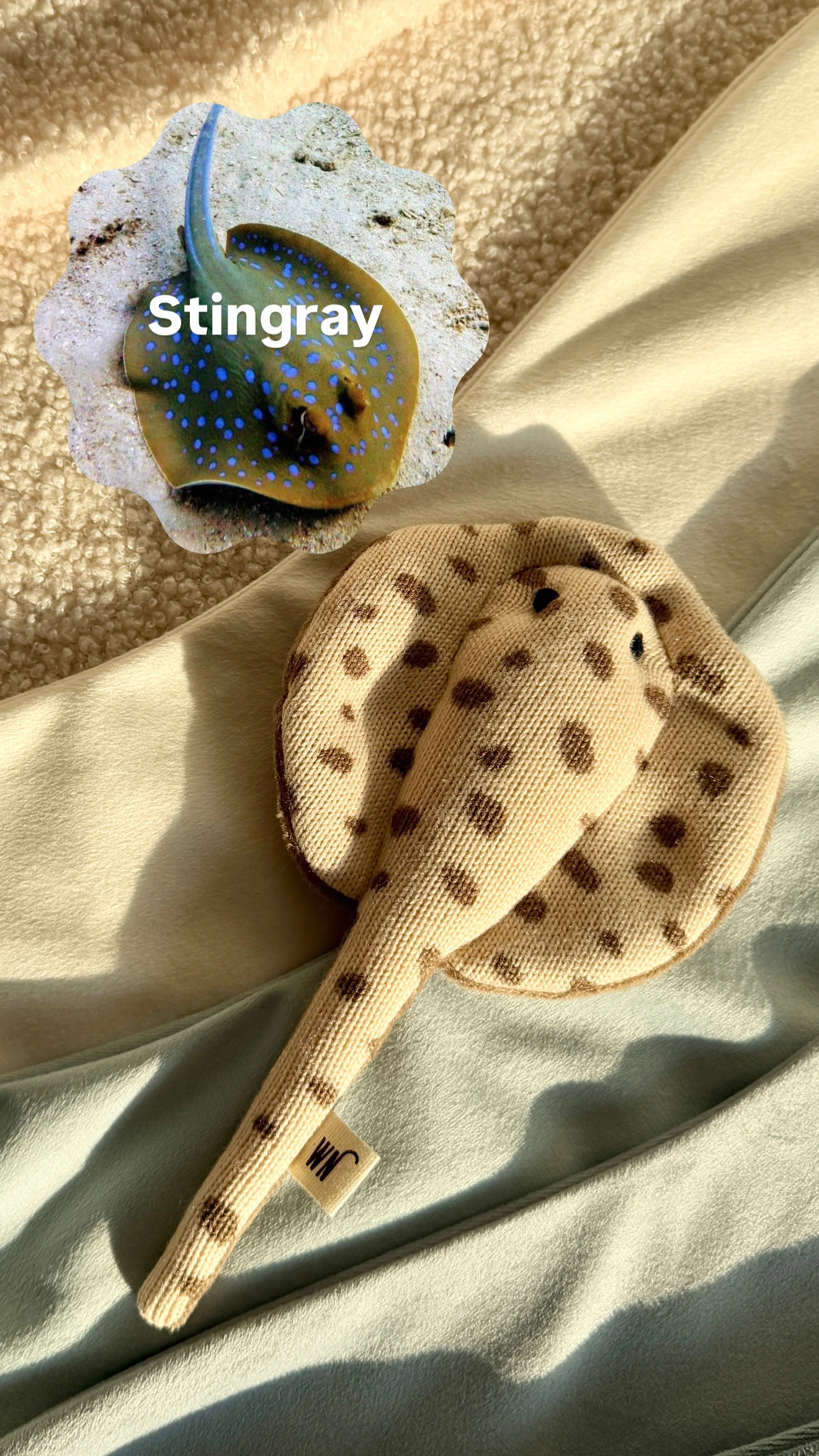 【Wetnose】Stingray·小魟魚｜海洋系列｜Made in Korea