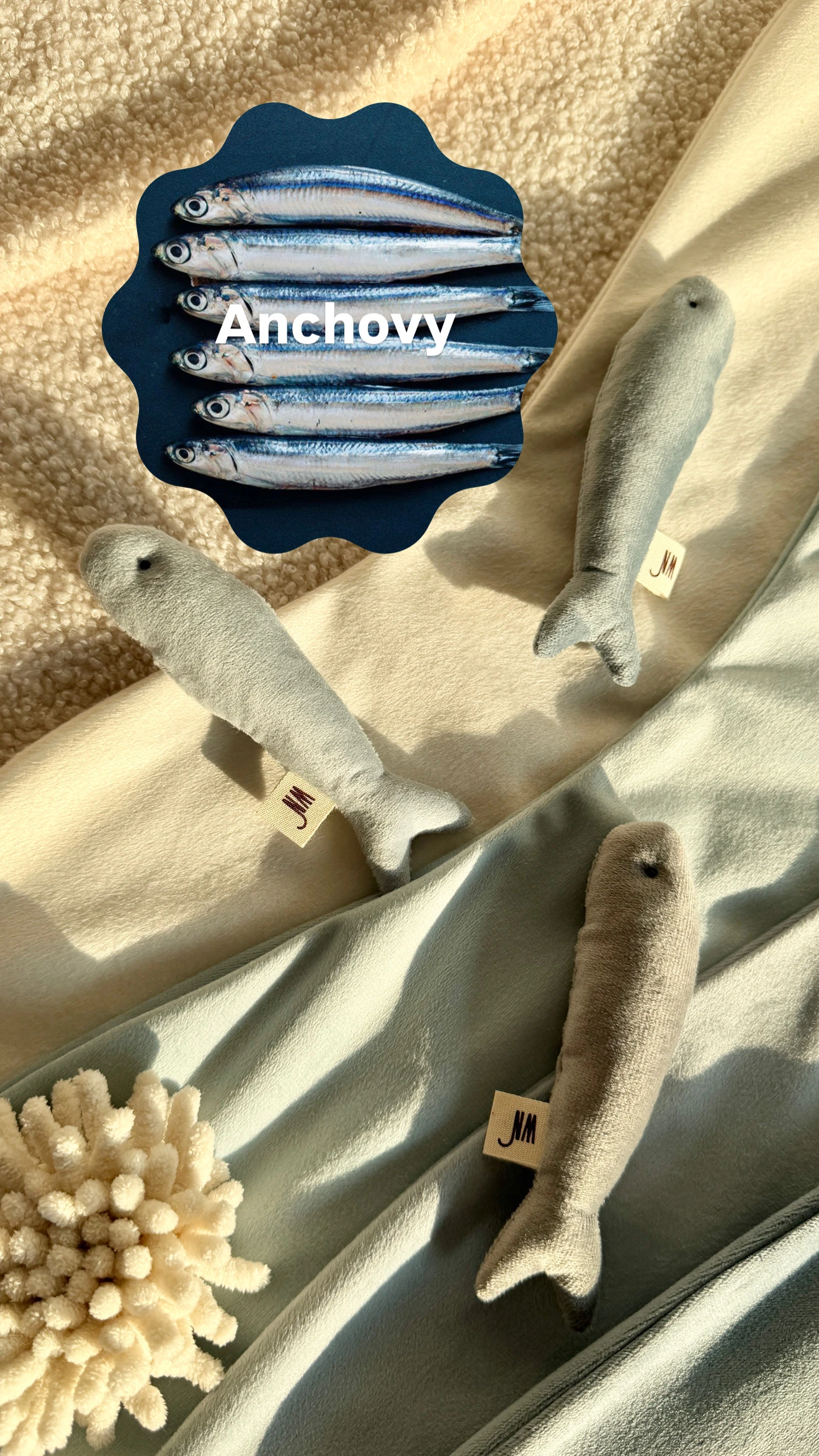 【Wetnose】Anchovy·舒壓鯷魚三入組｜海洋系列｜Made in Korea