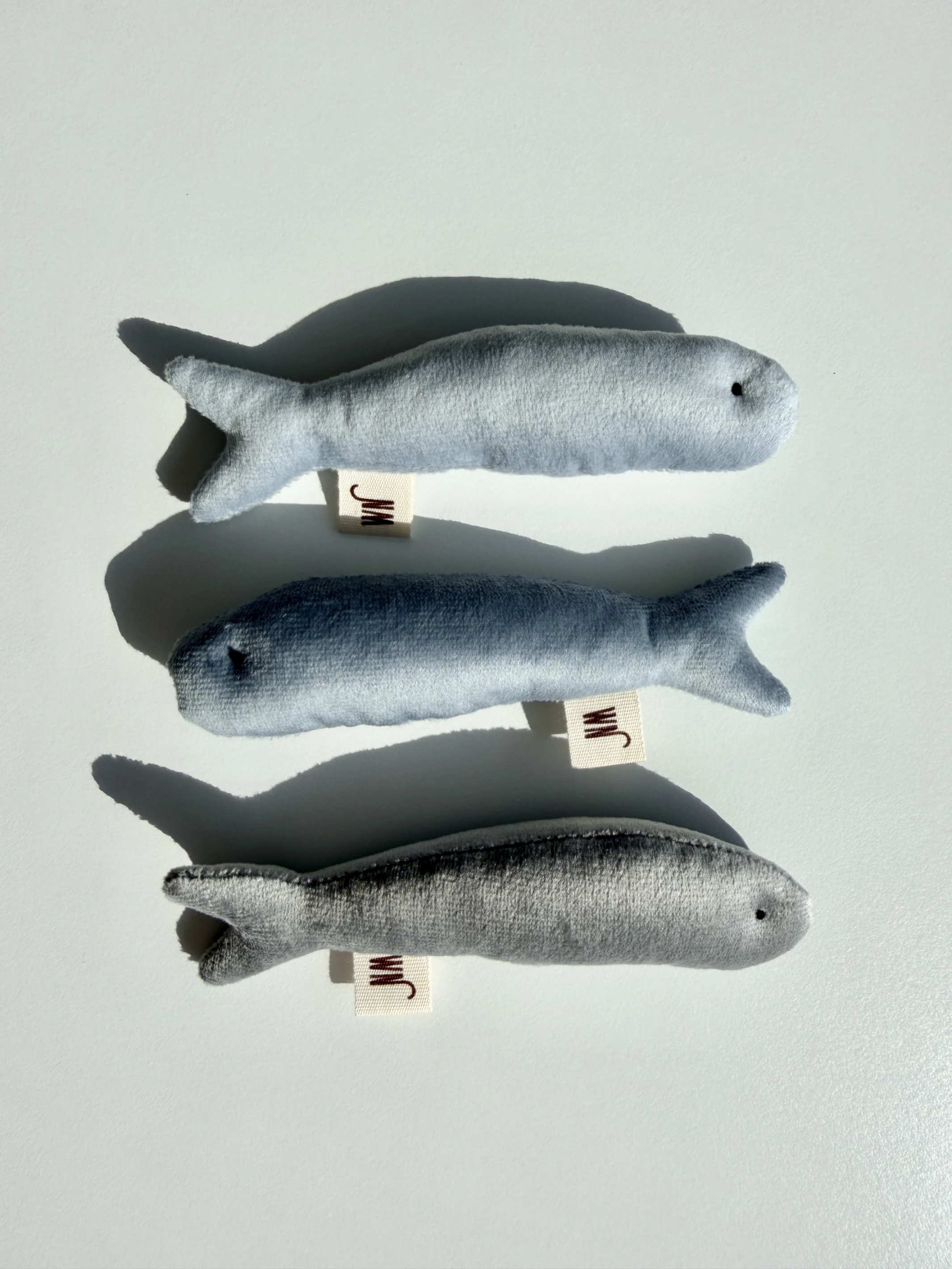 【Wetnose】Anchovy·舒壓鯷魚三入組｜海洋系列｜Made in Korea