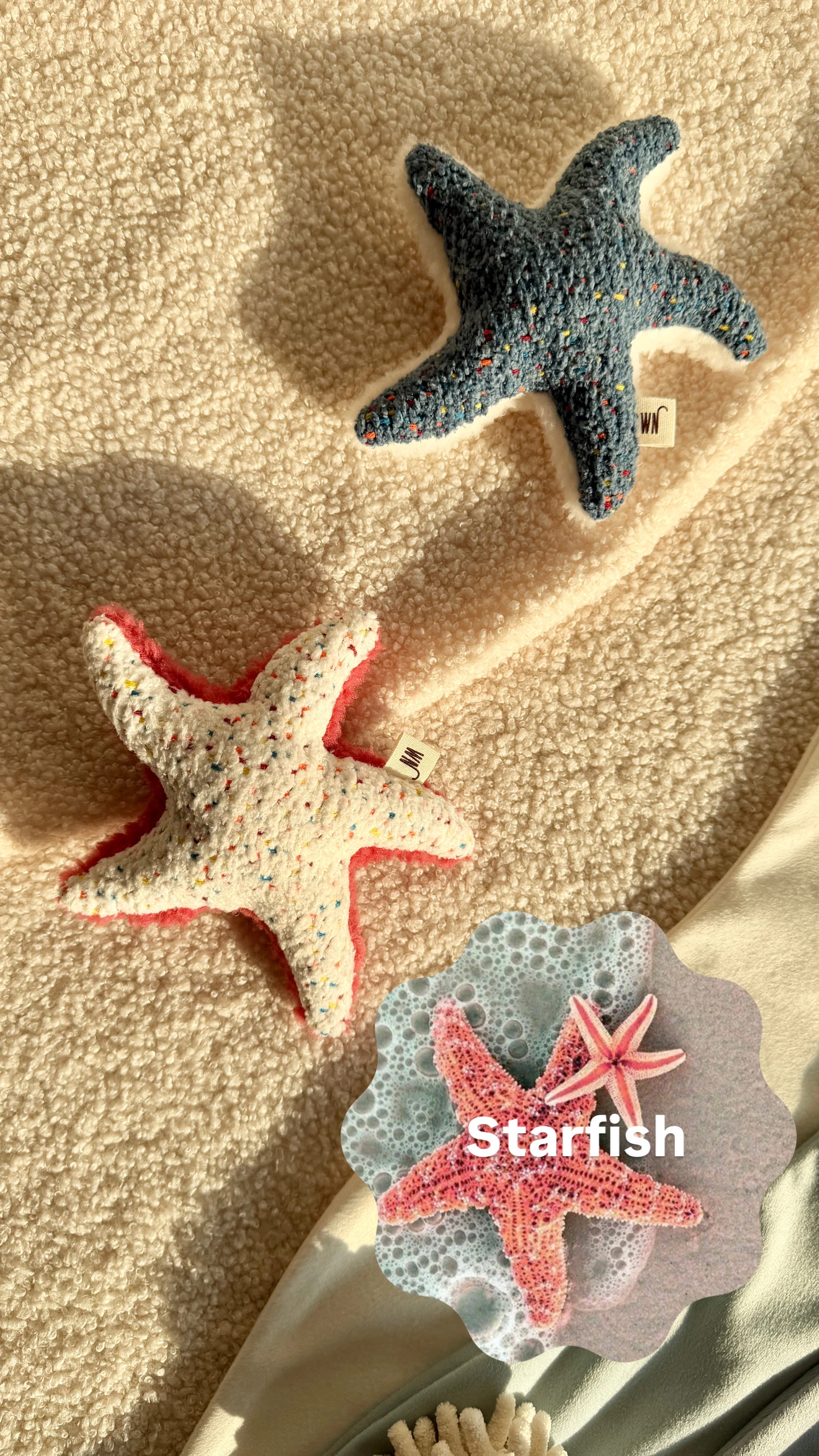 【Wetnose】Starfish·舒壓海星玩偶｜海洋系列｜Made in Korea