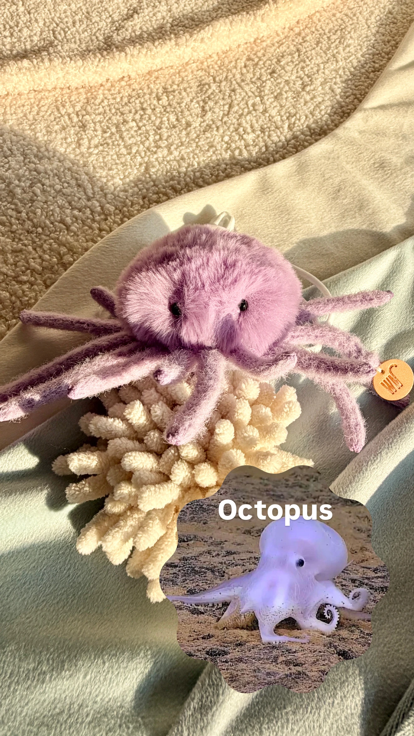 【Wetnose】Octopus Headpiece·章魚戴戴｜海洋系列｜Made in Korea