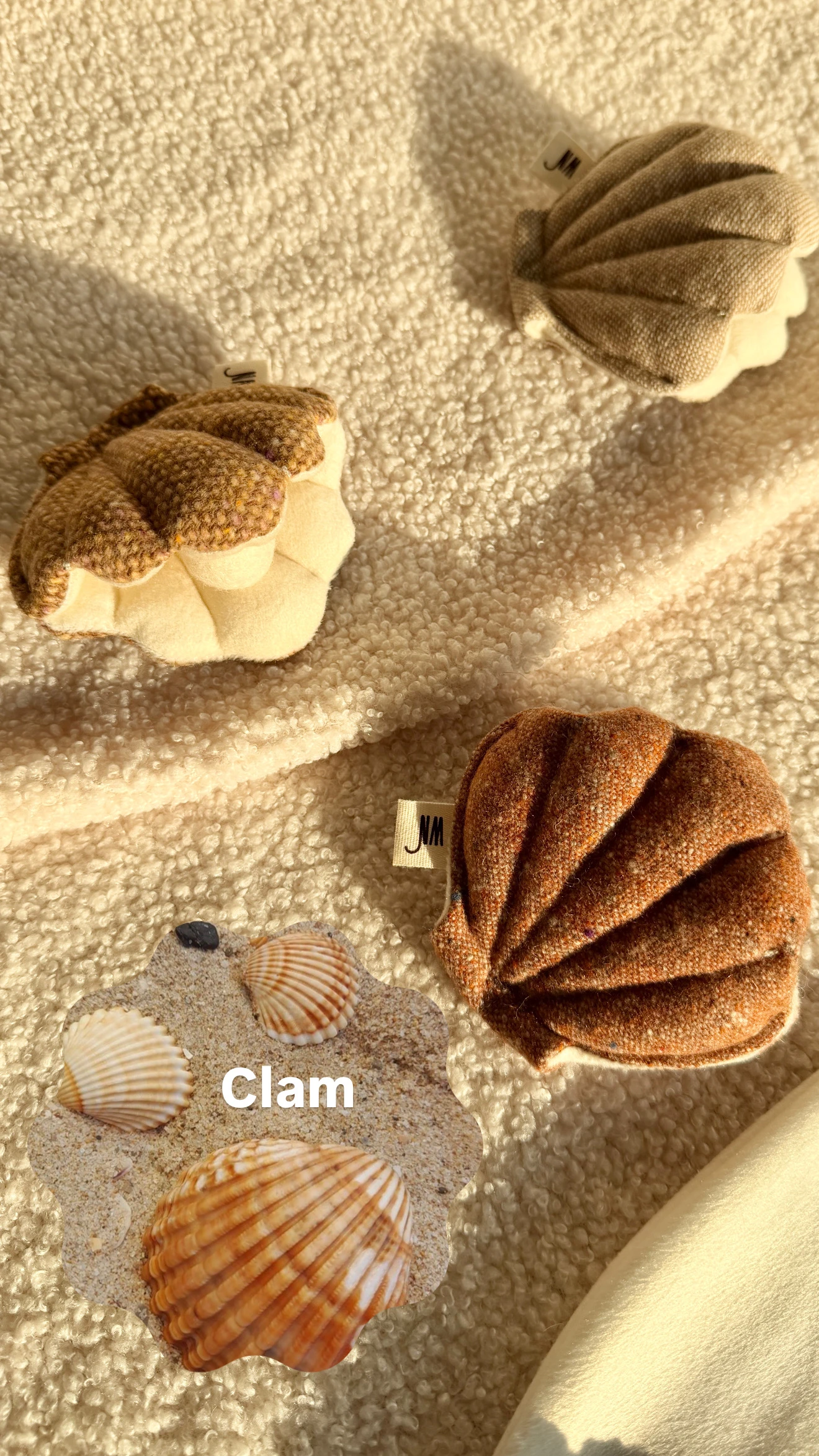 【Wetnose】Clam·三入組舒壓扇貝｜海洋系列｜Made in Korea