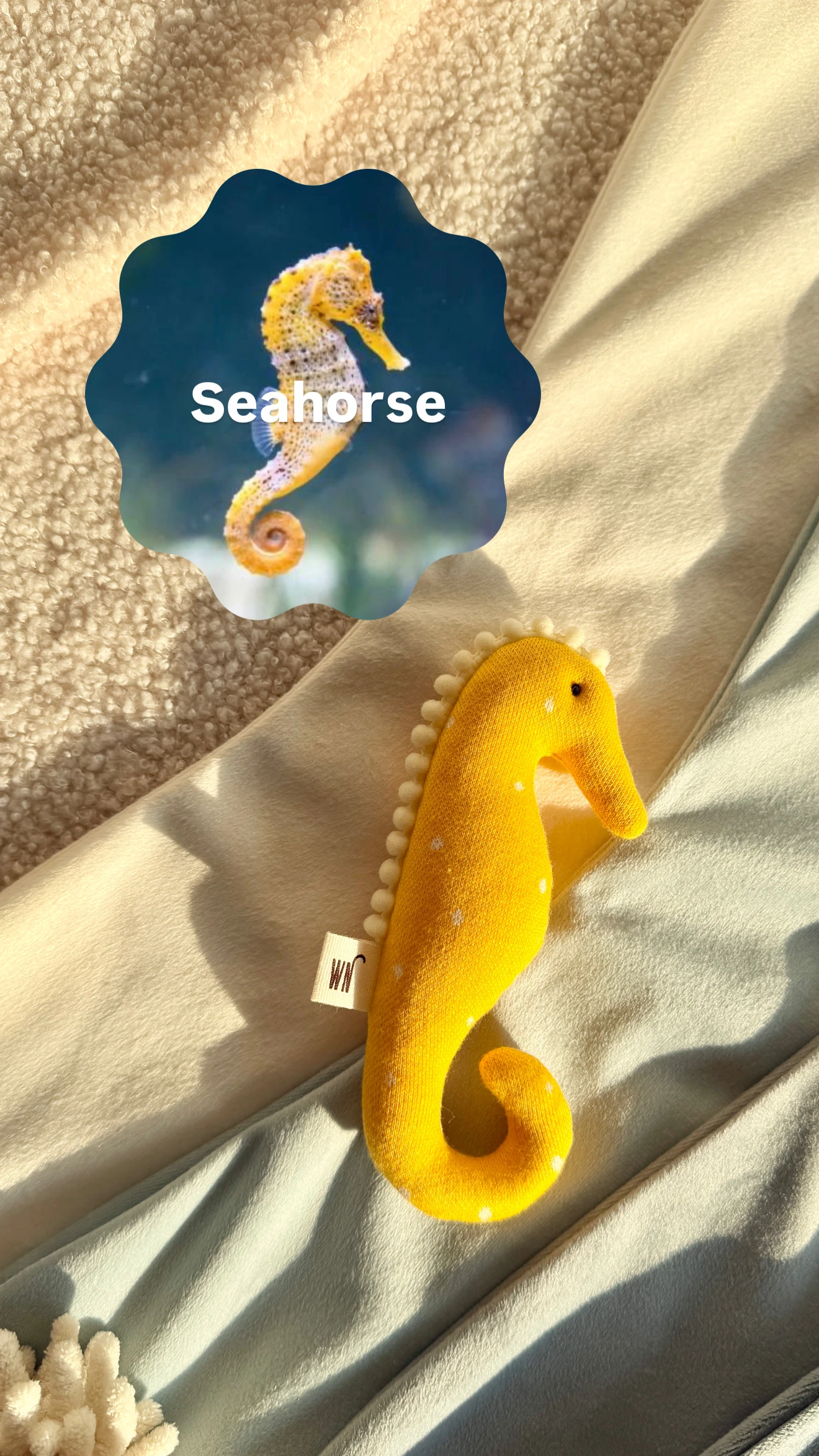 【Wetnose】Seahorse·檸檬黃海馬玩具｜海洋系列｜Made in Korea