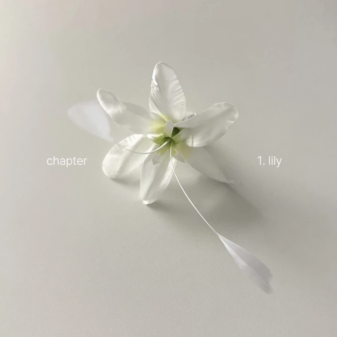 【Chururu Store】Lily 百合｜手工逗貓頭｜Made in Korea