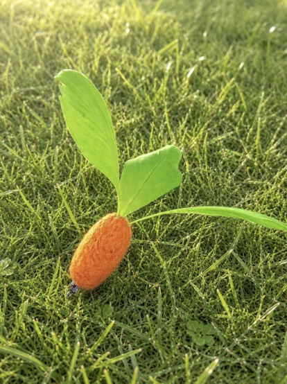 手工飛天胡蘿蔔