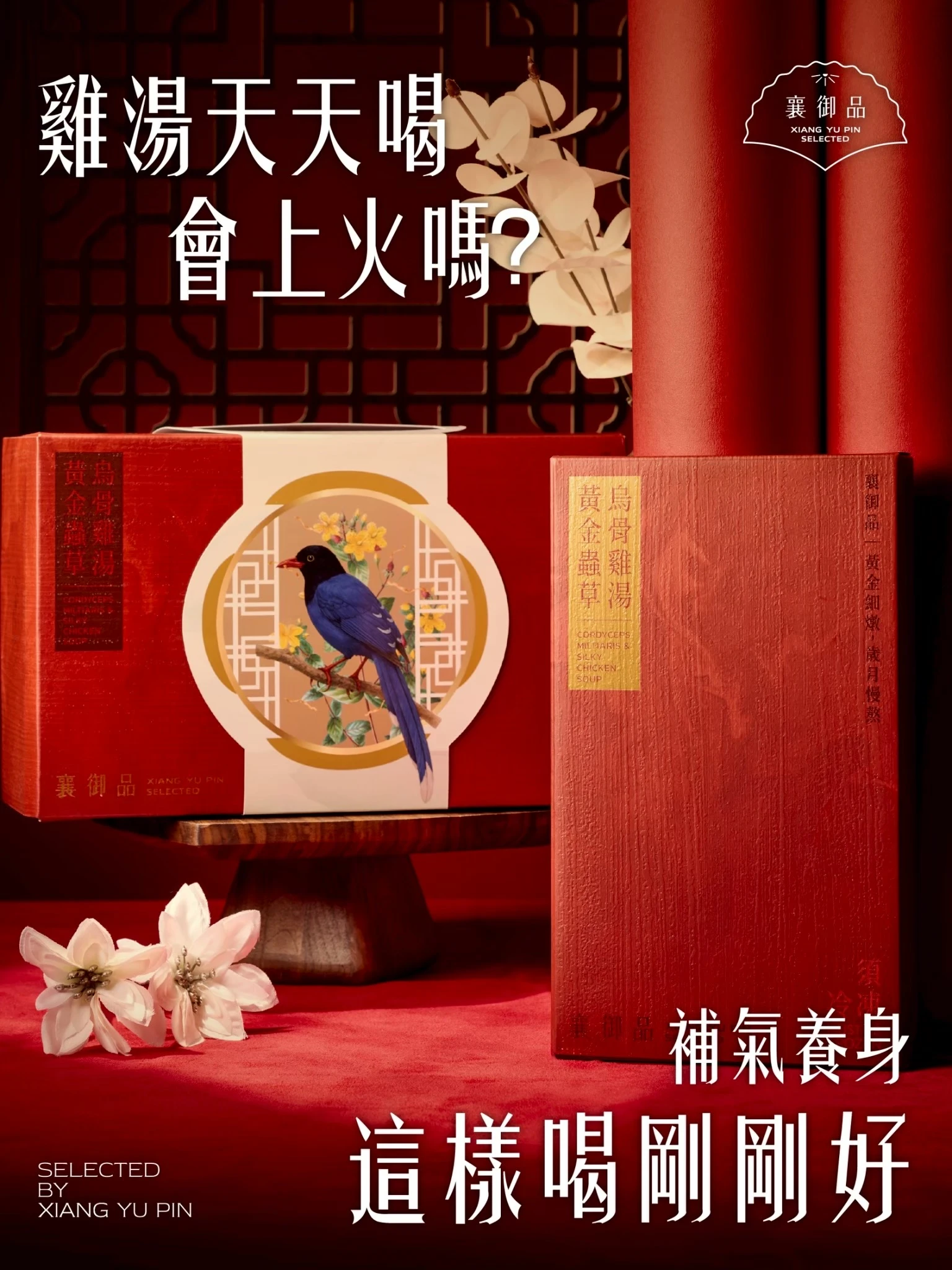 雞湯天天喝，真的會上火嗎？